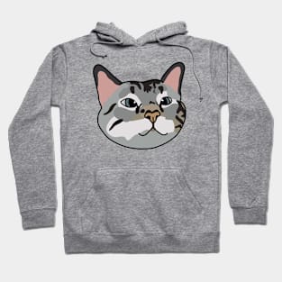 Tabby Cat Hoodie